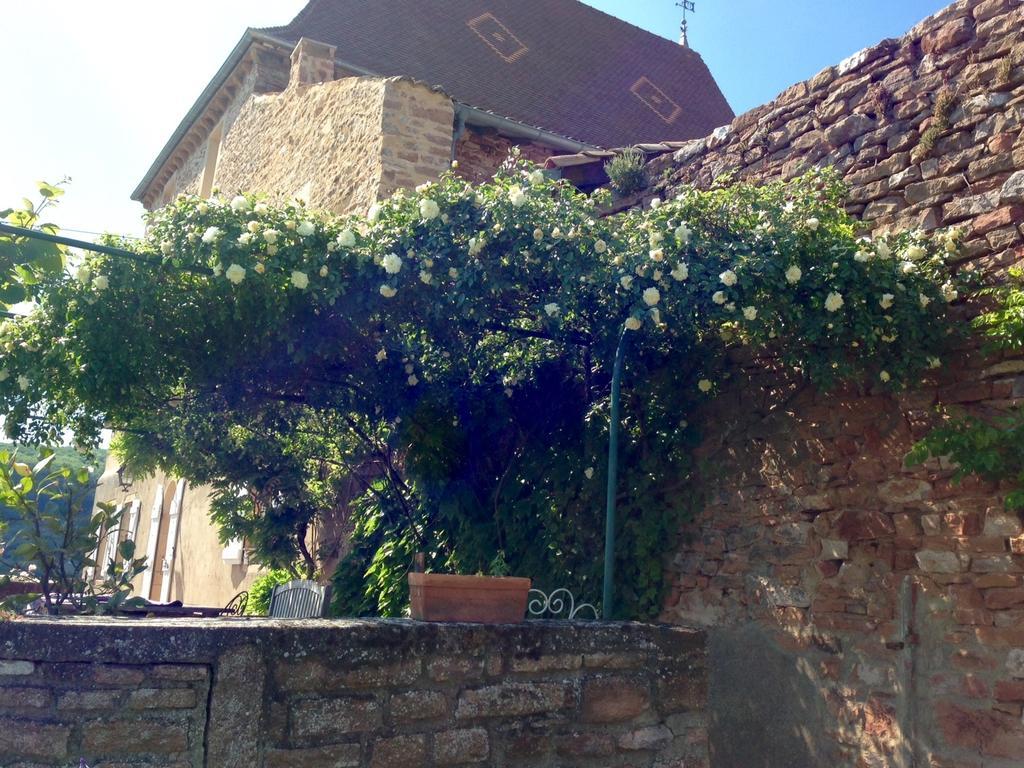 Le Vieux Chateau Bed and Breakfast Leynes Buitenkant foto